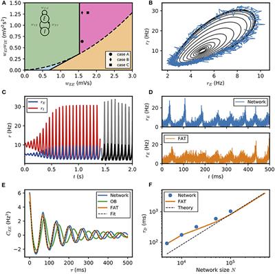 Synchronization, Stochasticity, and Phase Waves in Neuronal Networks With Spatially-Structured Connectivity